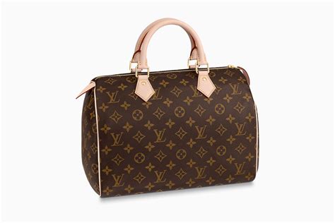 lv blogger bag